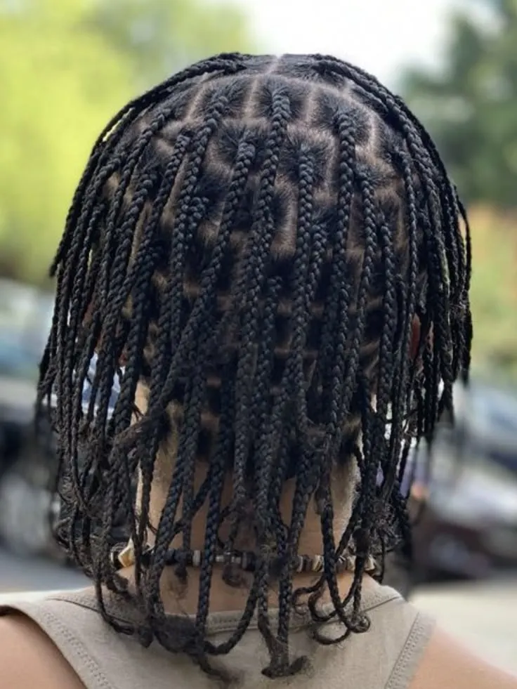 Natural hair box braids, seen from the back