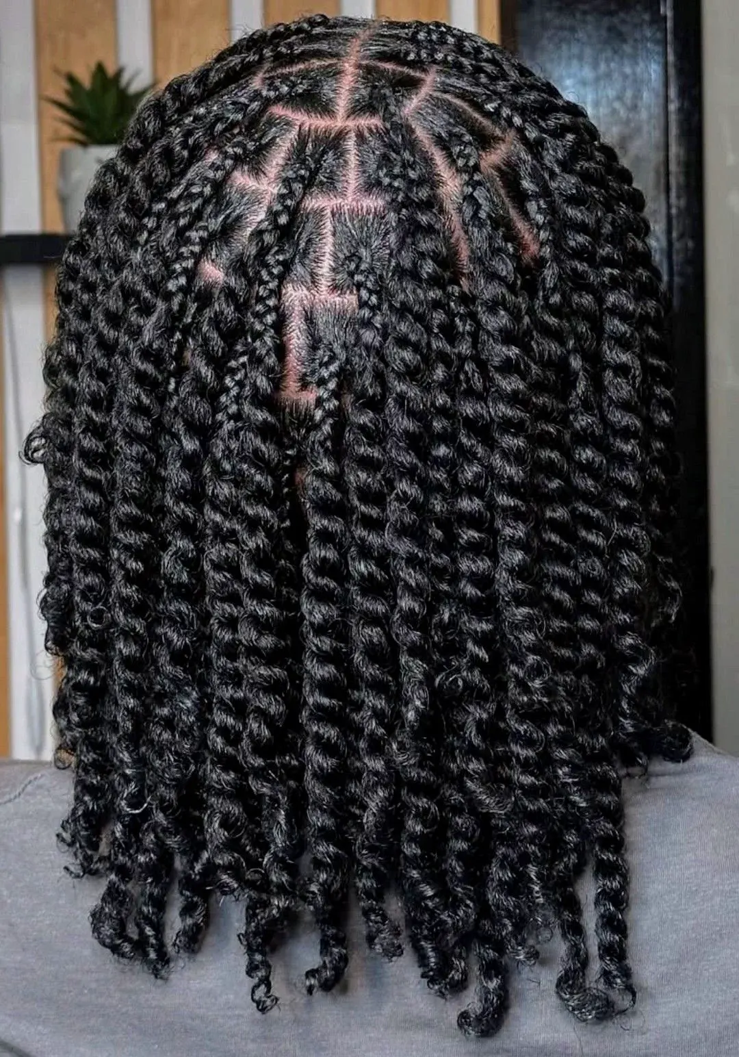 Two-strand twists on natural hair, seen from the back